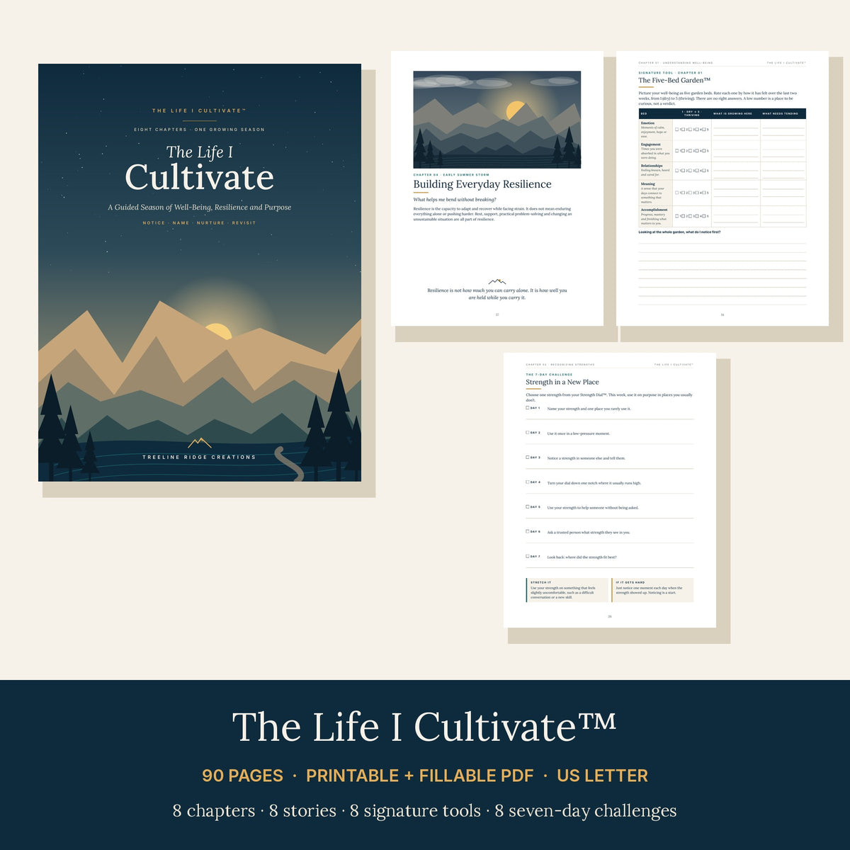 The Life I Cultivate preview showing resilience activities, reflection tools and a seven-day challenge