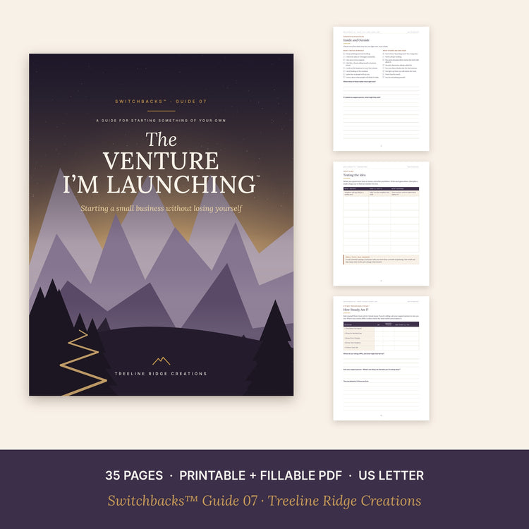 The Venture I’m Launching preview showing worksheets from the 35-page printable and fillable guide